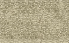 CR20-pearl.jpg